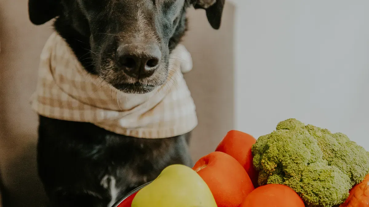 Core Petfood Ingredients
