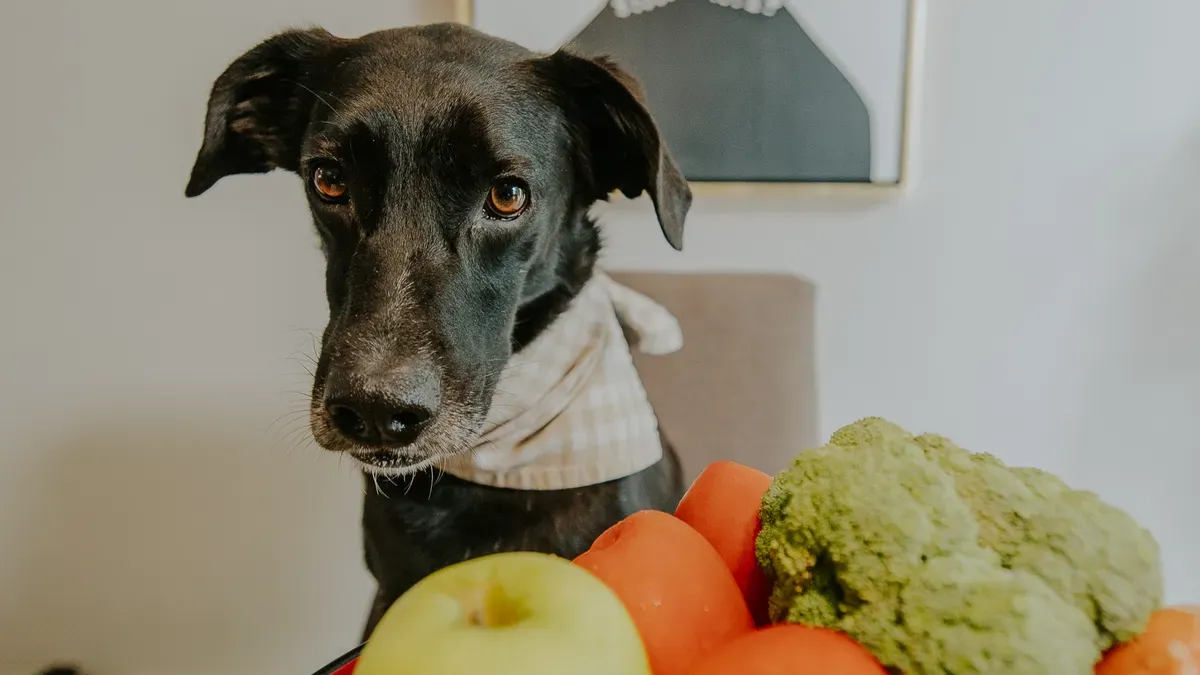 Functional Petfood Features