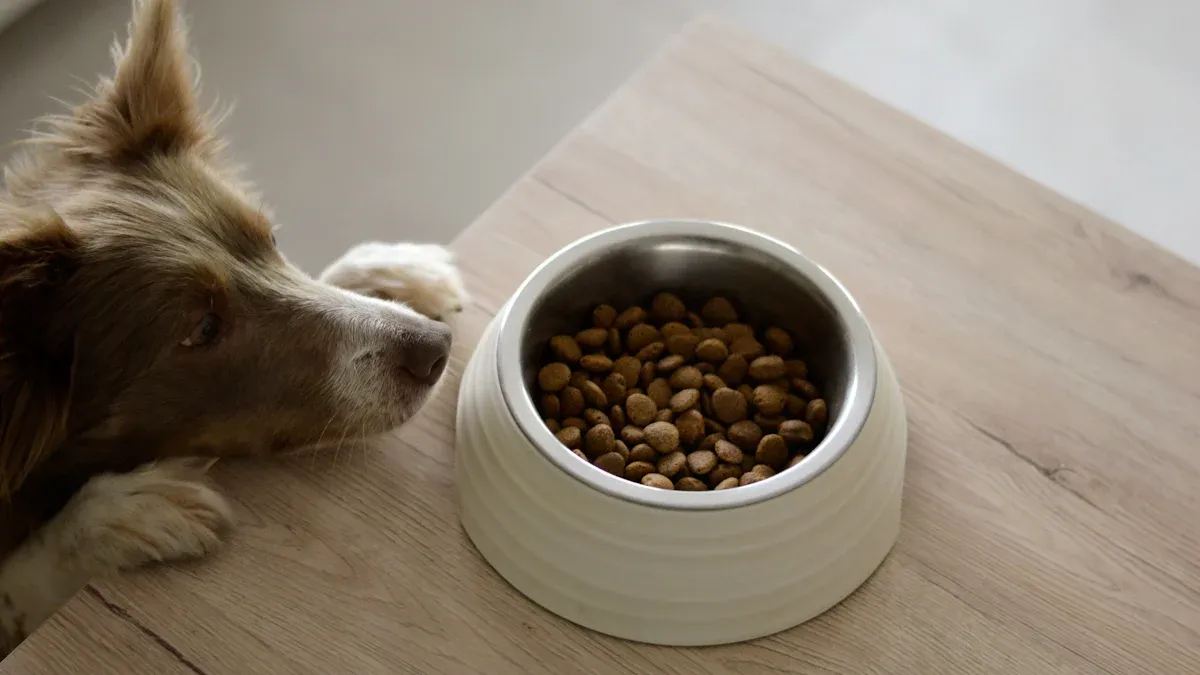 How to Identify Digestive Dog Foods with Catfood Elements